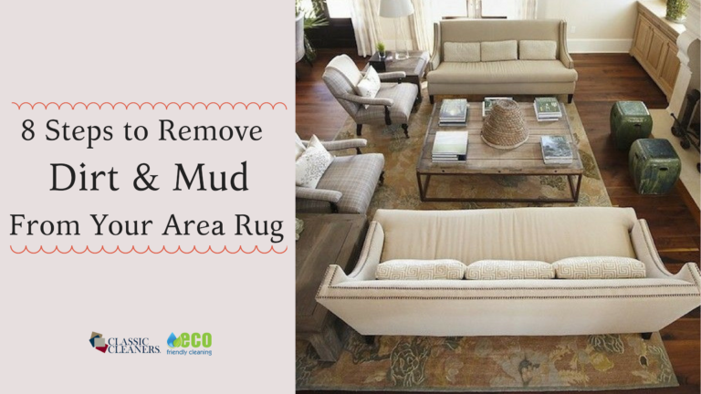 Dirty Area Rug? How to Get the Mud Out!