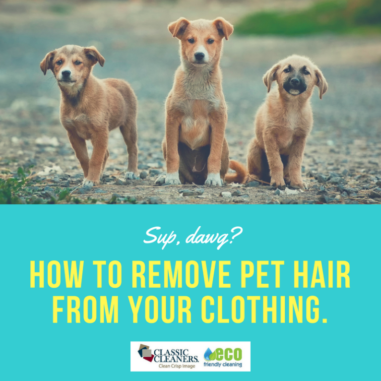 Remove Pet Hair From your Clothing