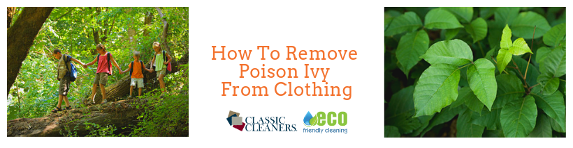 How to Remove Poison Ivy from Clothing