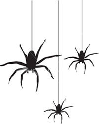 10 Natural Ways to Keep Spiders (Ick!) OUT of Your House